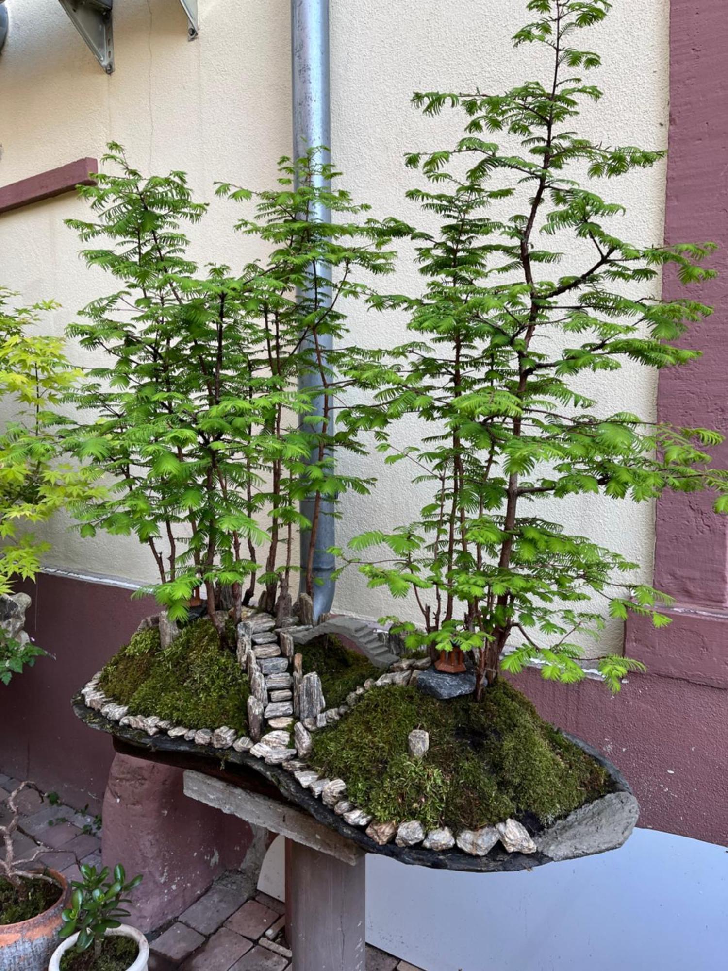 Trang Hotel Rastatt Kültér fotó